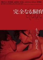 《丘比特的恶作剧虹玉》电视剧高清完整正版免费在线观看